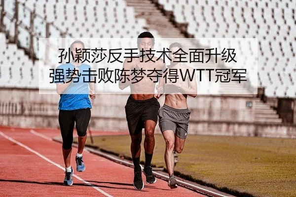 sun-ying-sha-fan-shou-ji-shu-quan-mian-sheng-ji-qiang-shi-ji-bai-chen-meng-duo-de-guan-jun-2-733.jpg