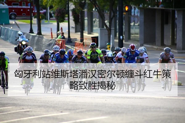 匈牙利站维斯塔潘汉密尔顿缠斗红牛策略致胜揭秘